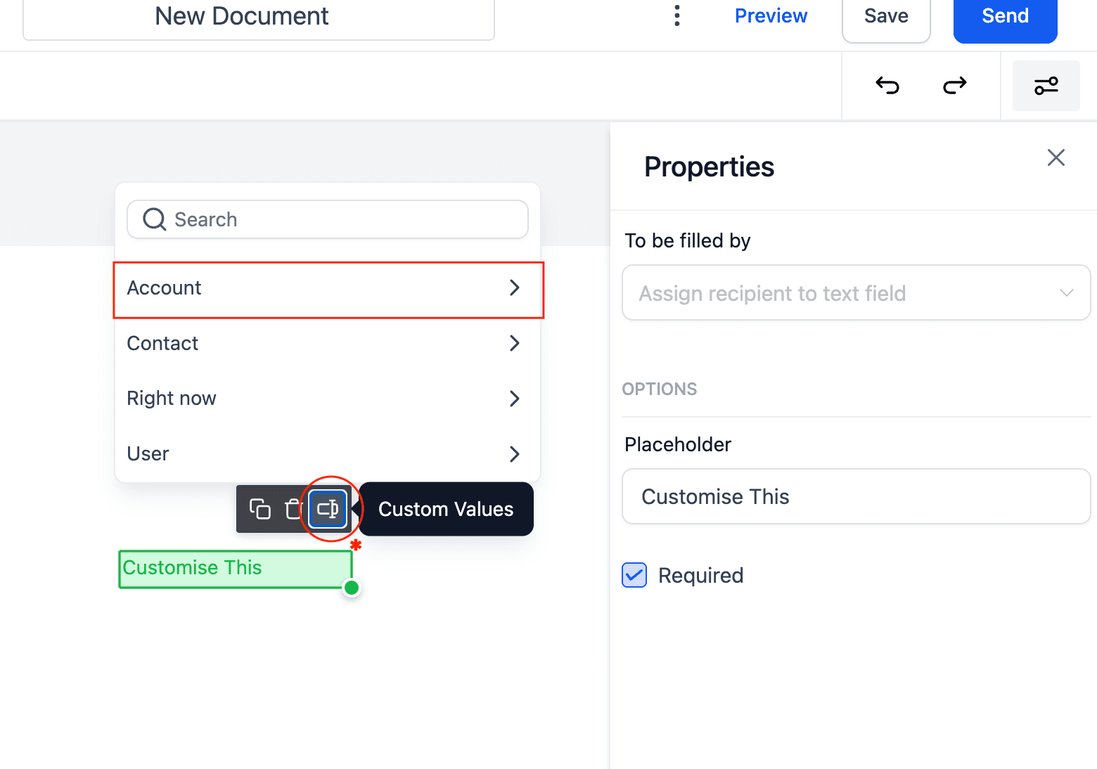 Screenshot of Fillable Text Field Custom Value
