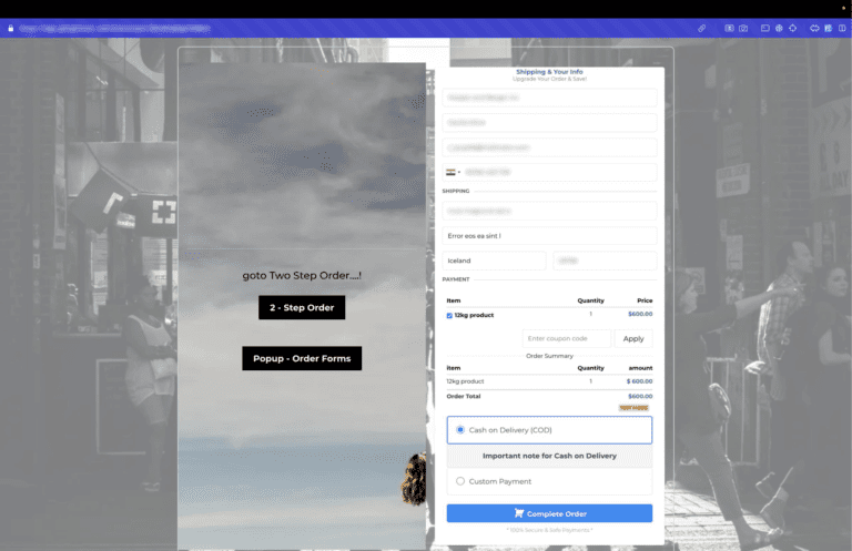 E-commerce website order form interface