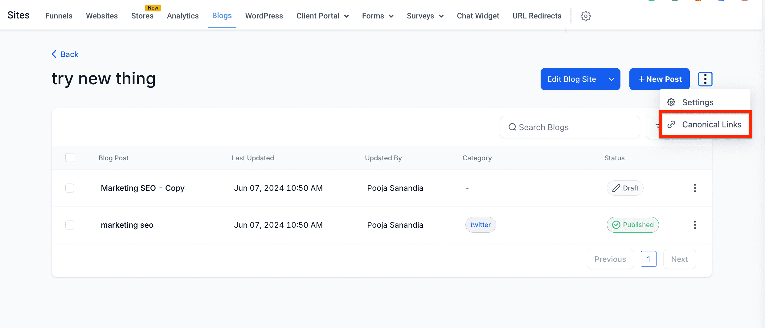 Screenshot showing Canonical Settings option
