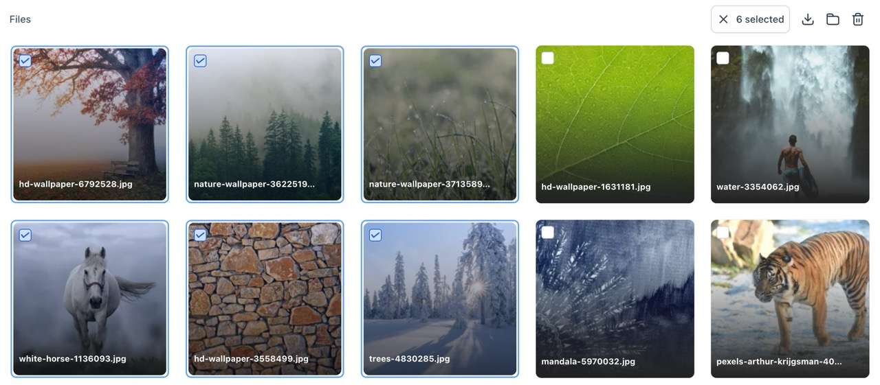 1Files X 6 Large