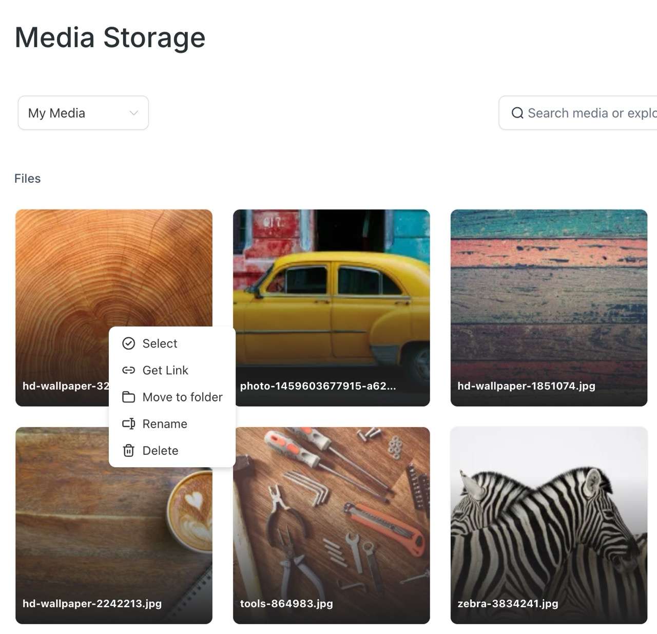 Media Storage Large
