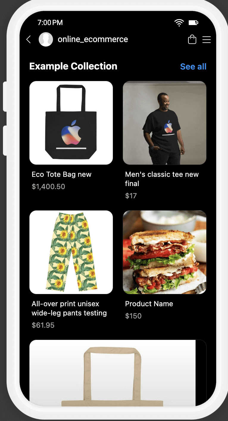 Example of Instagram shop