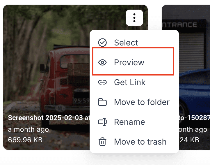 Preview Media Option